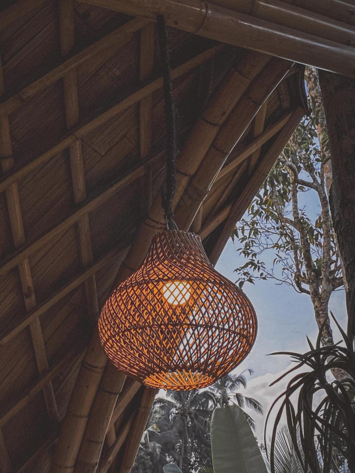 Alamvaya Bali Bamboo House Villa Sidemen  Exteriör bild