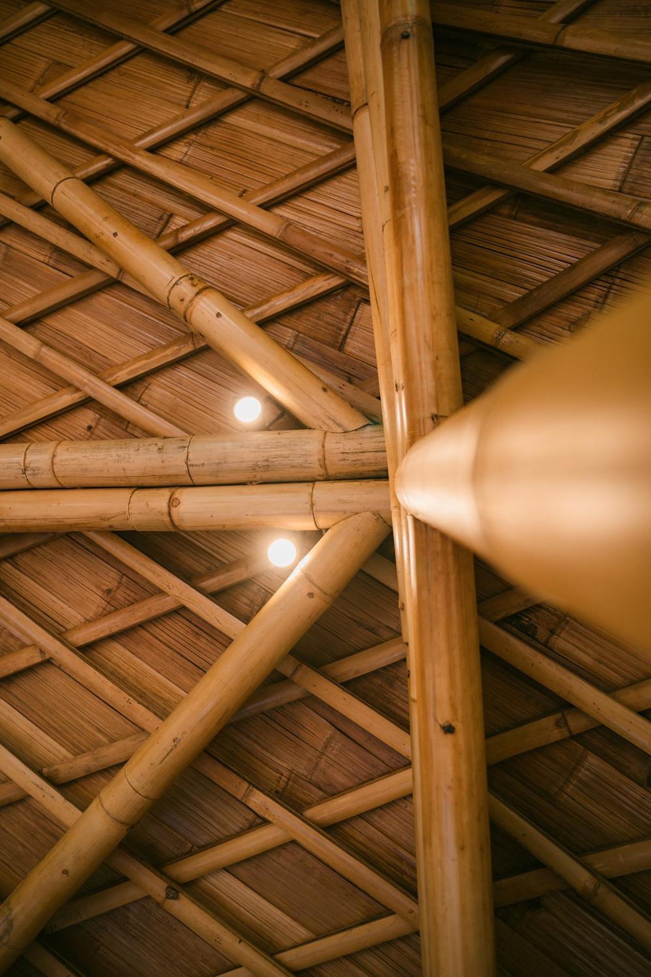Alamvaya Bali Bamboo House Villa Sidemen  Exteriör bild