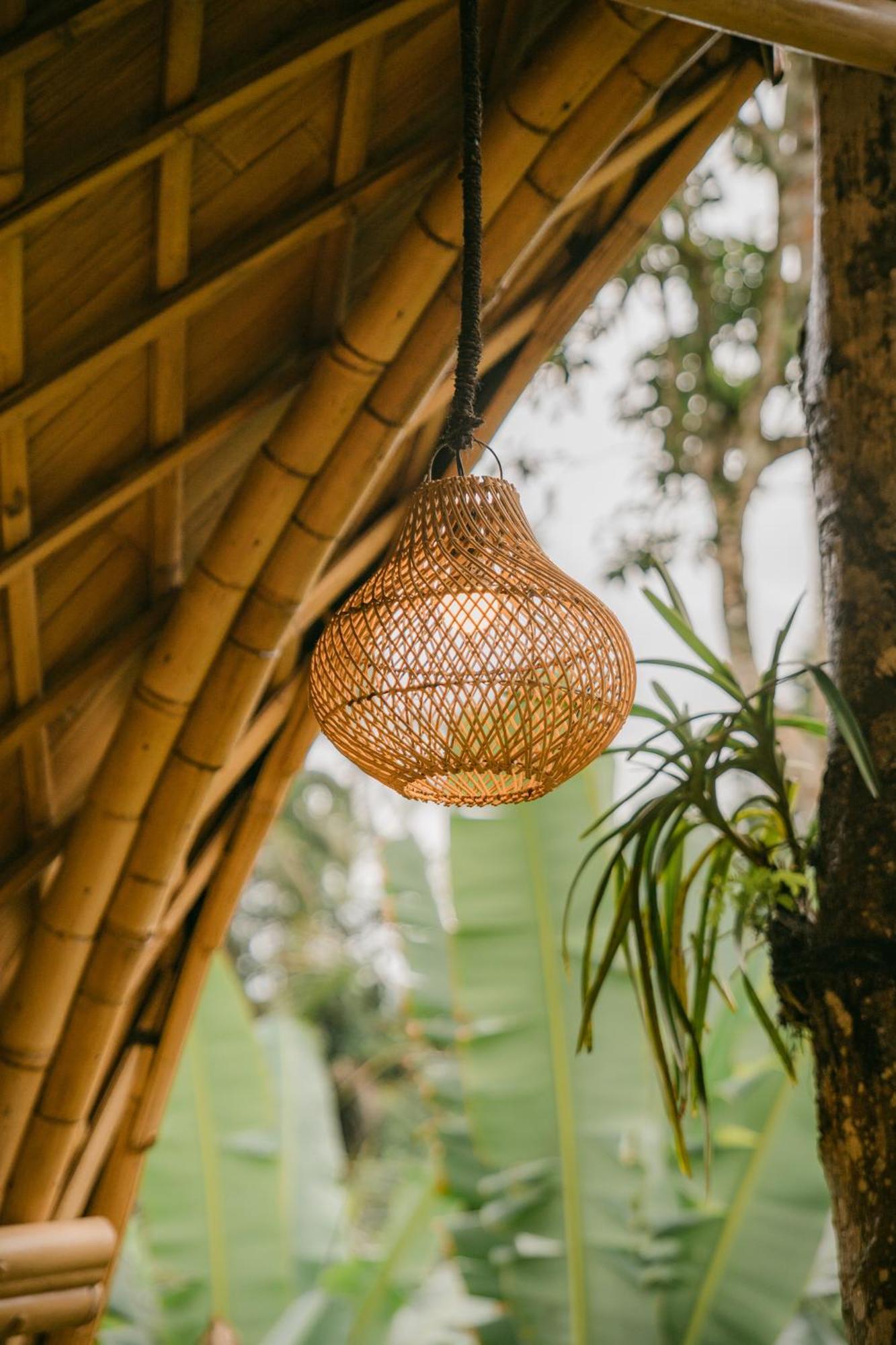 Alamvaya Bali Bamboo House Villa Sidemen  Exteriör bild
