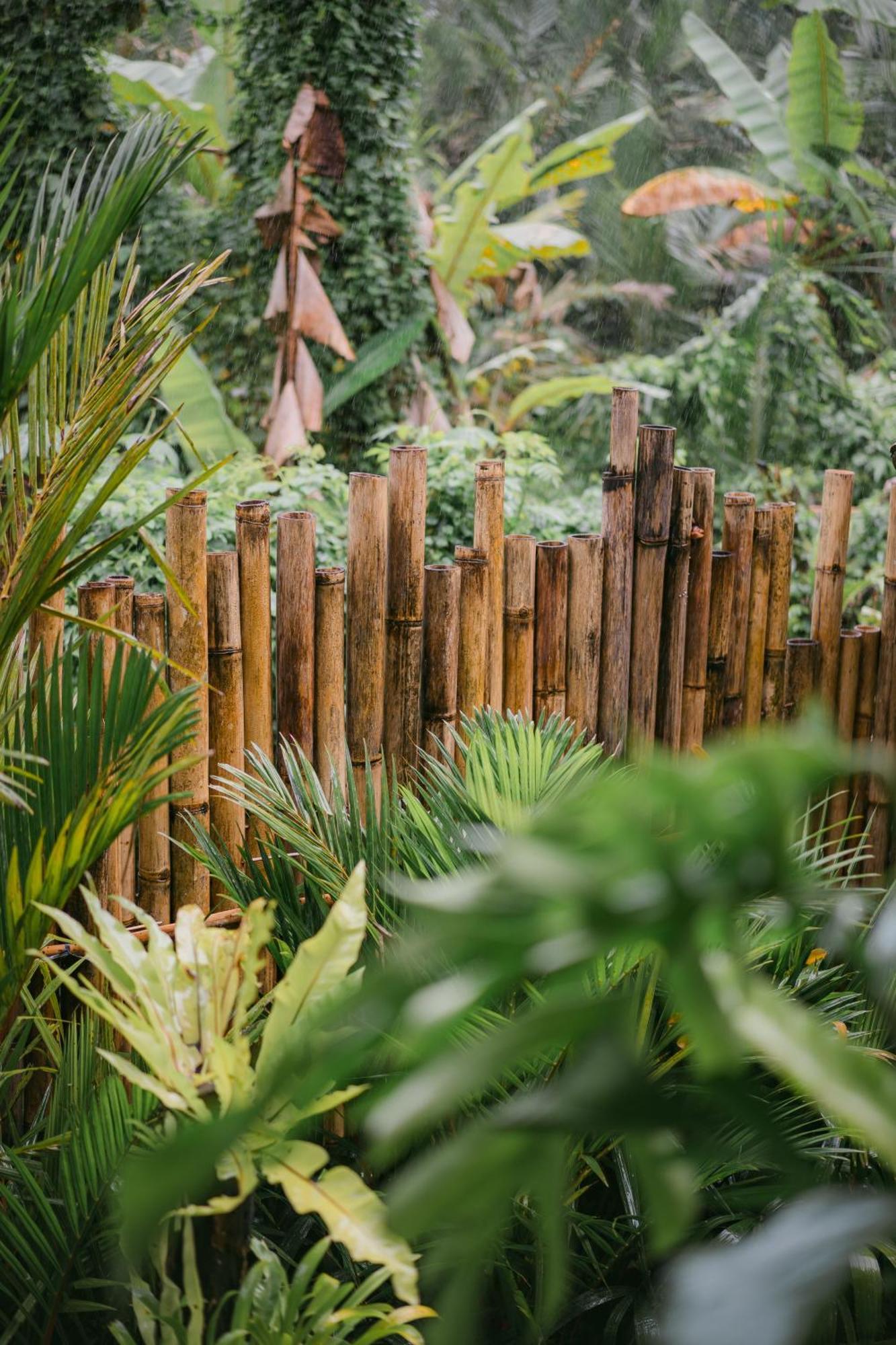 Alamvaya Bali Bamboo House Villa Sidemen  Exteriör bild