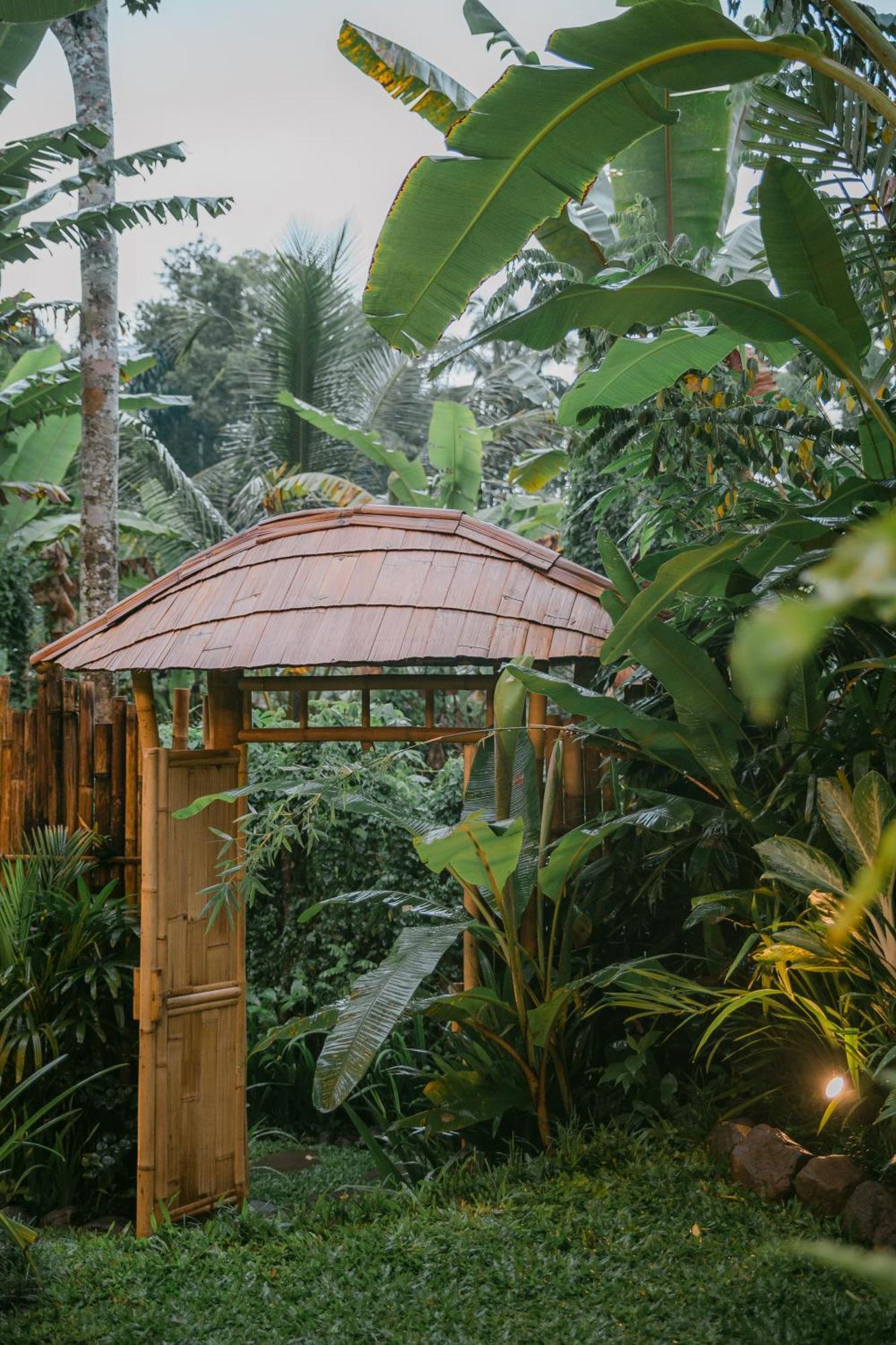 Alamvaya Bali Bamboo House Villa Sidemen  Exteriör bild